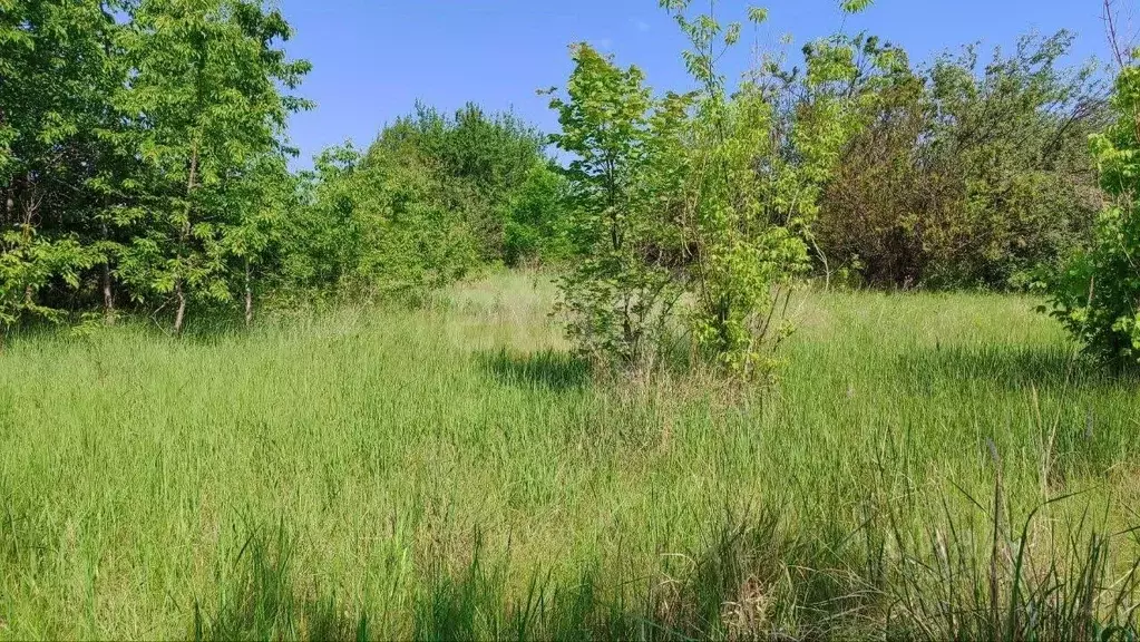 Участок в Белгородская область, Белгородский муниципальный округ, ... - Фото 1
