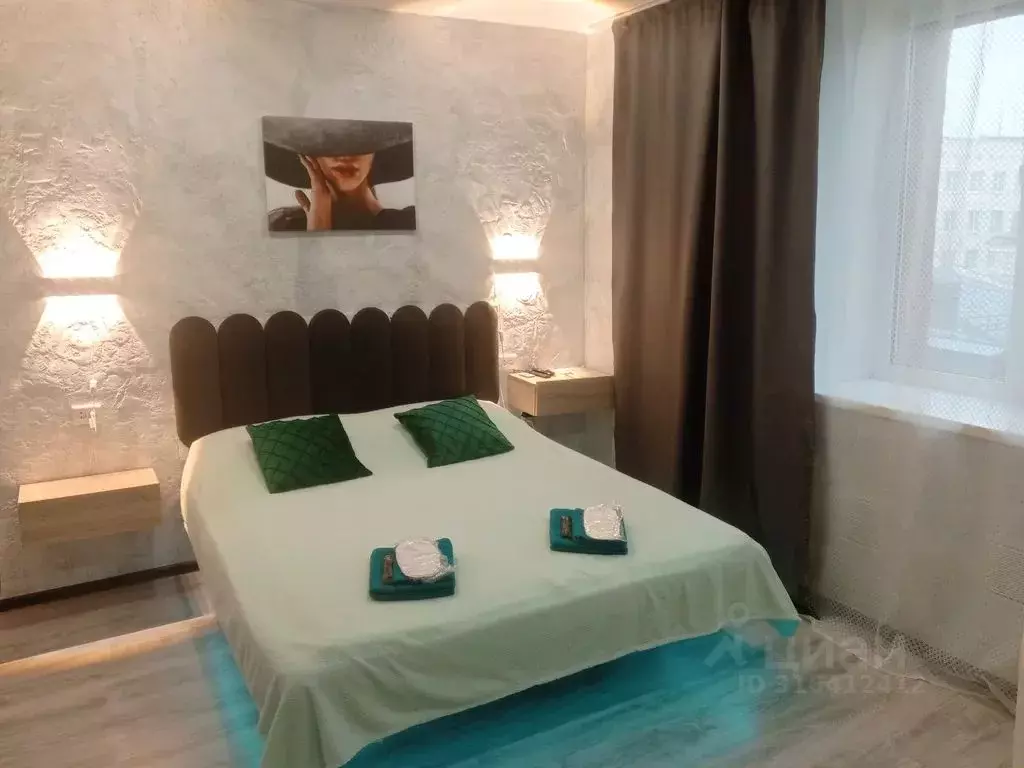 Студия Ленинградская область, Выборг ул. Сторожевой Башни, 9 (24.0 м) - Фото 1