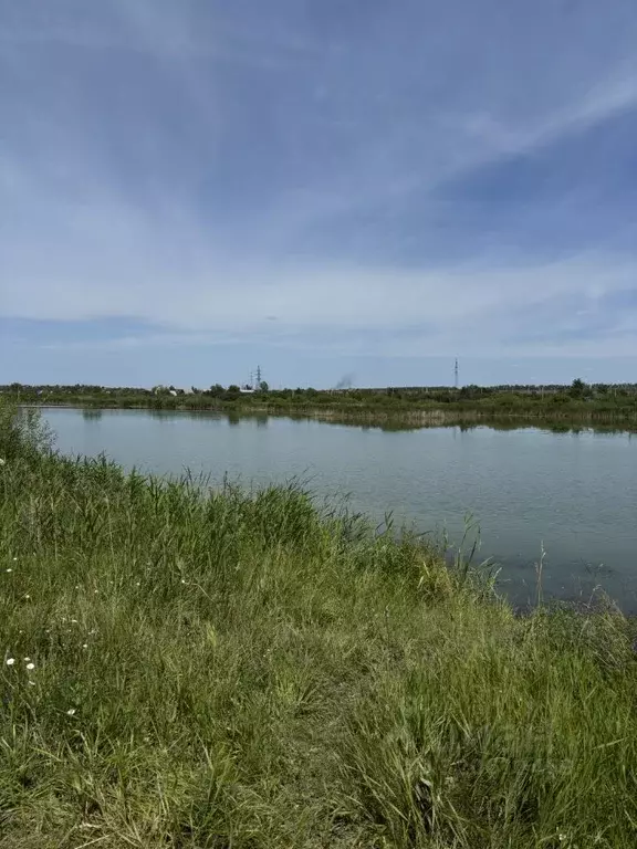 Участок в Калужская область, Жуковский муниципальный округ, Чубарово ... - Фото 1