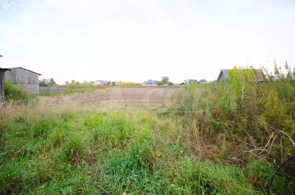 Участок в Тюменская область, Ялуторовский муниципальный округ, деревня ... - Фото 1