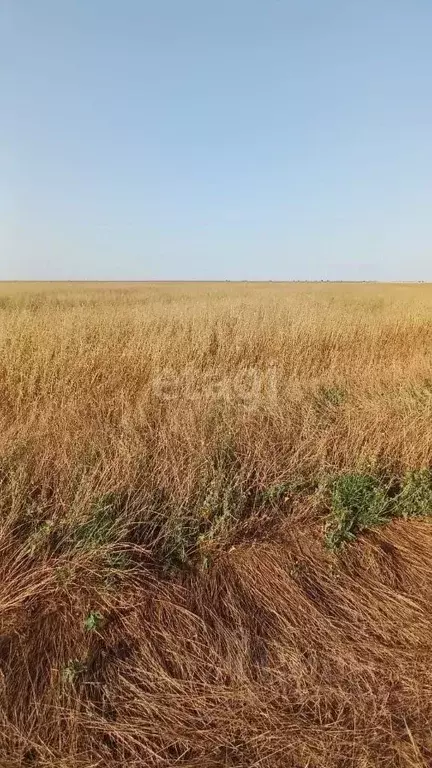Участок в Крым, Сакский район, с. Веселовка ул. Новая (684.0 сот.) - Фото 0