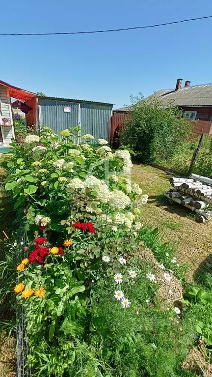 Дом в Тверская область, Кашин Калязинская ул., 58 (46 м) - Фото 2