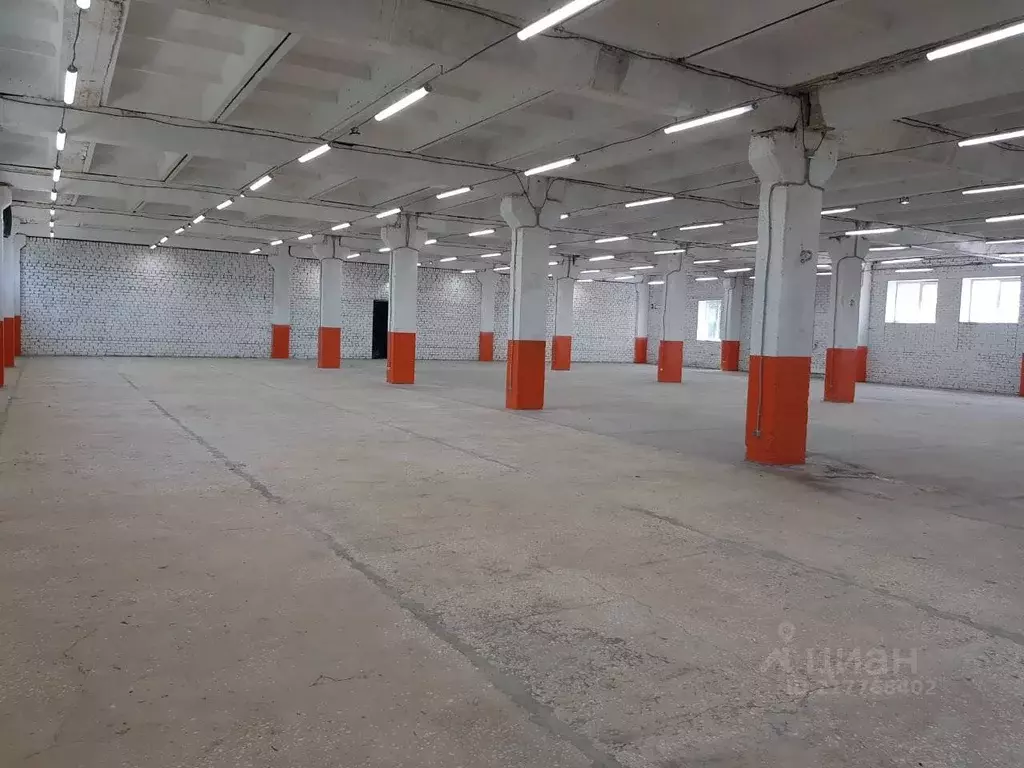 Склад в Владимирская область, Петушинский район, д. Липна 3 (5150 м) - Фото 2