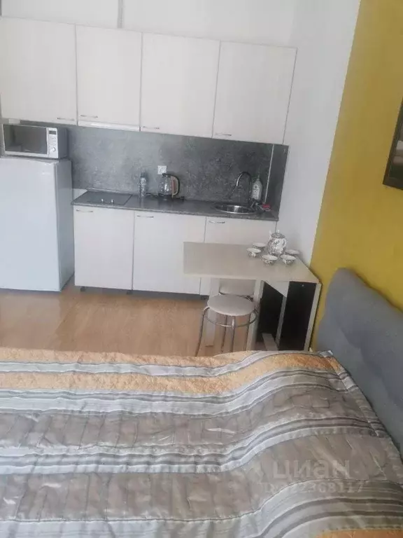 Студия Краснодарский край, Сочи городской округ, Дагомыс пгт ул. ... - Фото 2