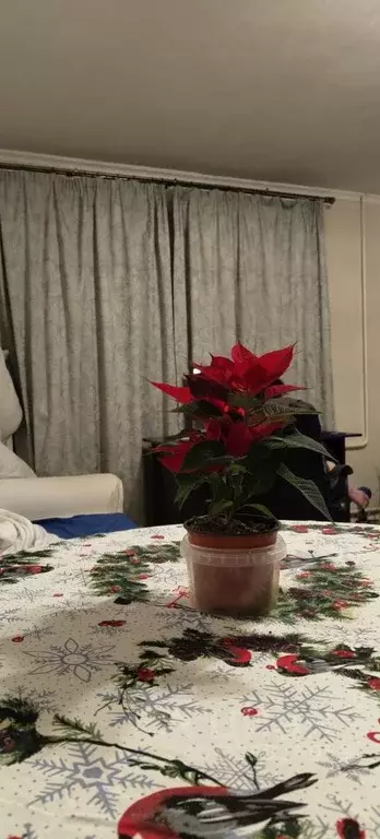 1-к кв. Москва 4-й Рощинский проезд, 7/17 (33.5 м) - Фото 2