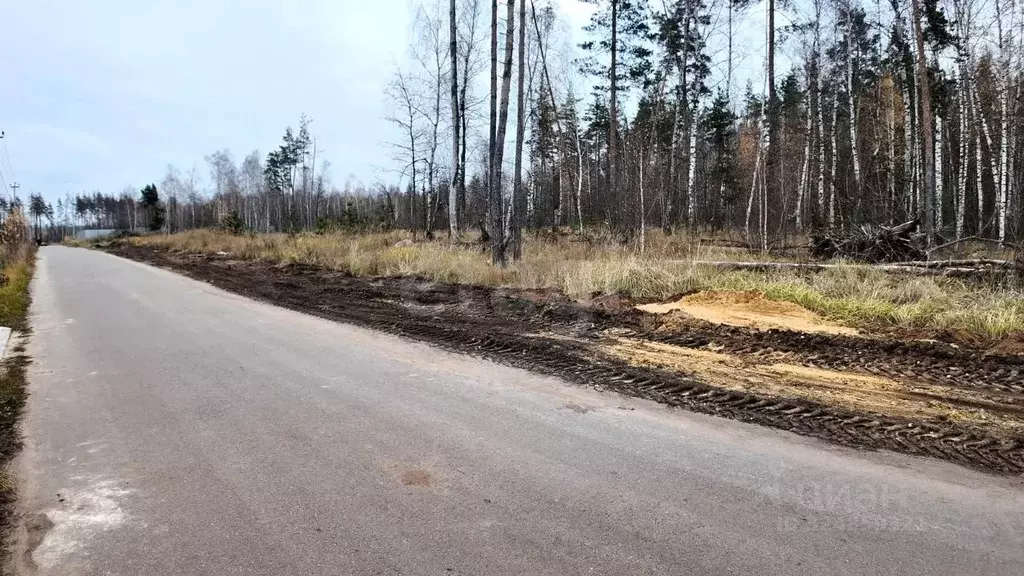 Участок в Воронежская область, Рамонский район, с. Ямное ул. ... - Фото 1