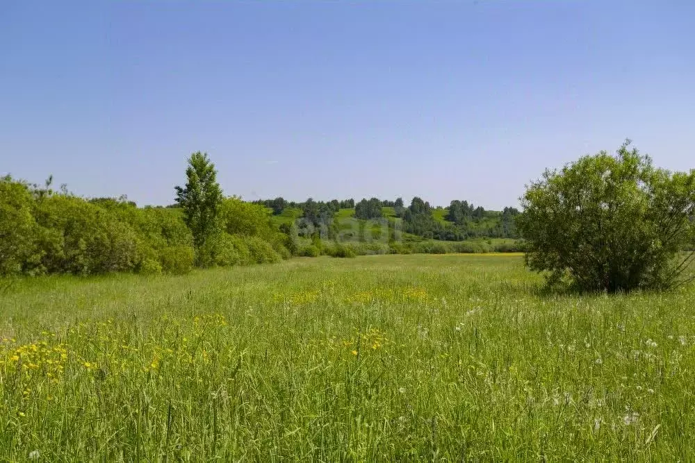 Участок в Кемеровская область, Новокузнецкий муниципальный округ, с. ... - Фото 1