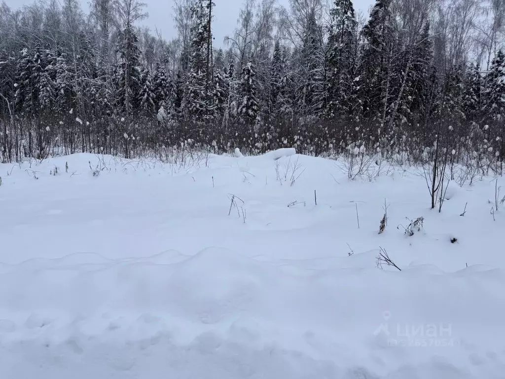 Участок в Московская область, Пушкинский городской округ, д. Могильцы  ... - Фото 2