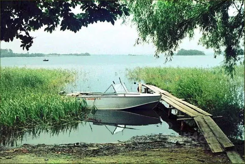 Участок в Новгородская область, Демянский муниципальный округ, с. ... - Фото 0