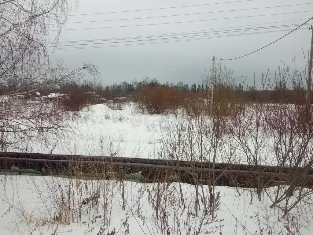 Участок в Костромская область, Костромской район, Бакшеевское с/пос, ... - Фото 1