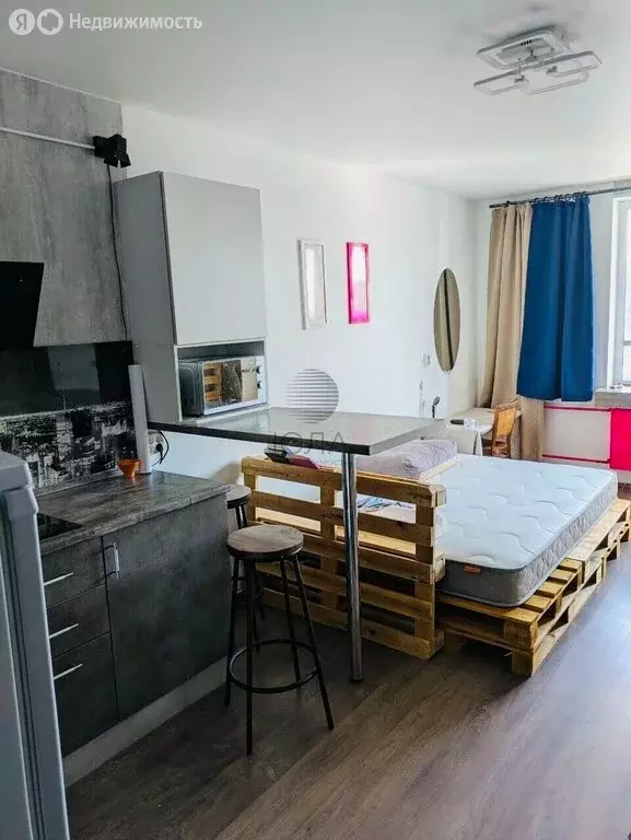 Квартира-студия: Мурино, Екатерининская улица, 22к1 (27 м) - Фото 2