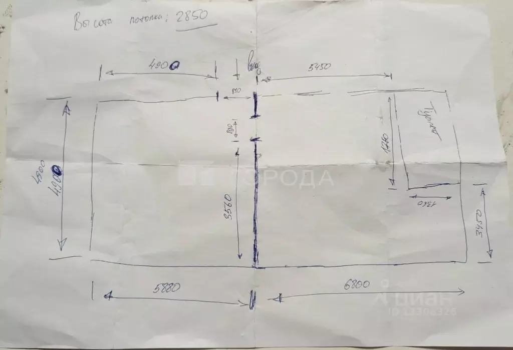 Помещение свободного назначения в Новосибирская область, Новосибирск ... - Фото 1