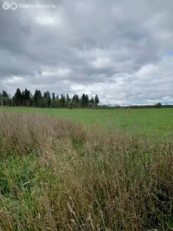 Участок в деревня Гостилицы, Новая улица (10 м) - Фото 2