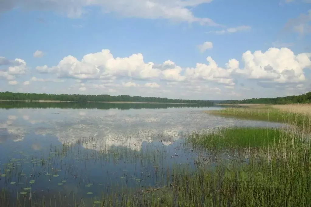 Участок в Ленинградская область, Выборгский район, Красносельское ... - Фото 0