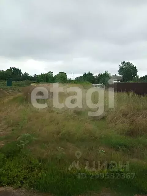 Участок в Белгородская область, Алексеевский городской округ, с. ... - Фото 1