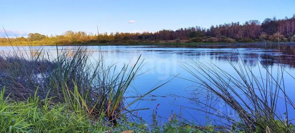 Участок в Псковская область, Псковский муниципальный округ, д. ... - Фото 1