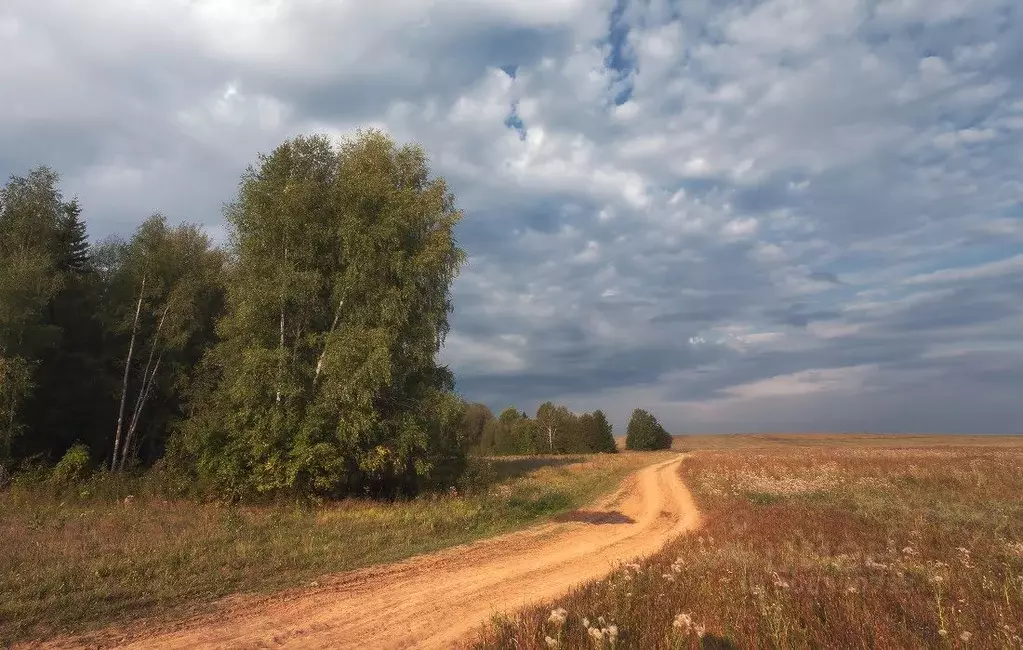 Участок в Калининградская область, Гвардейский муниципальный округ, ... - Фото 2