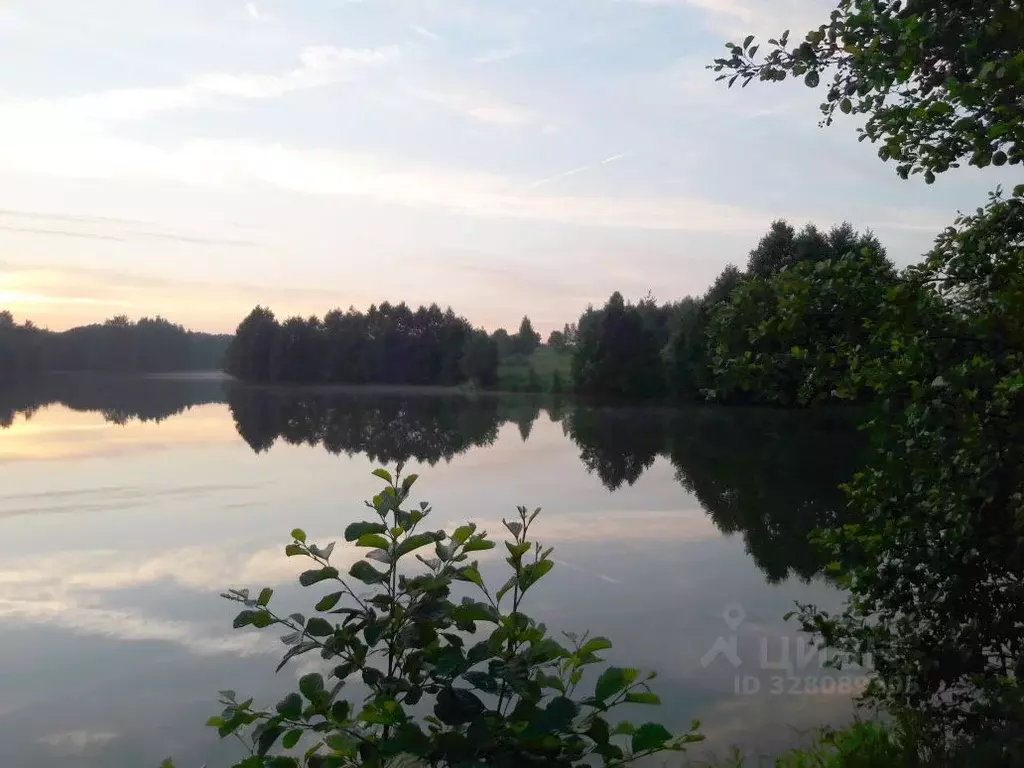 Участок в Московская область, Серпухов городской округ, д. Волохово ... - Фото 2