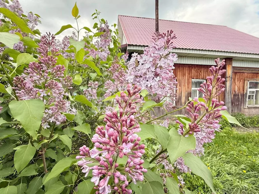 Дом 43 м на участке 17 сот. - Фото 0