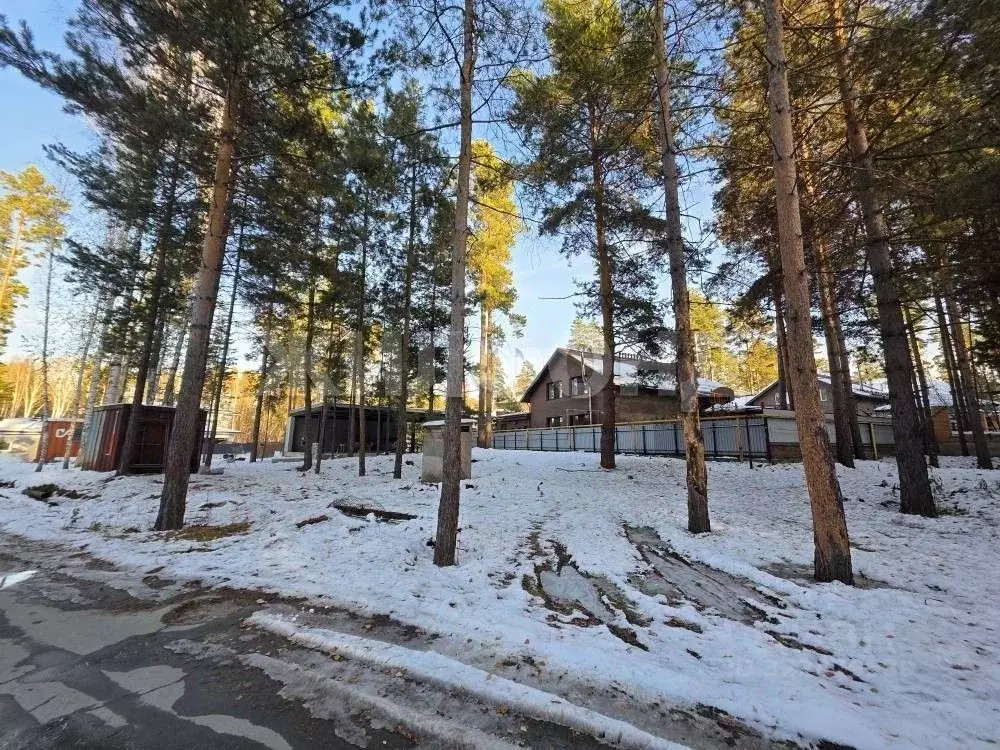 Участок в Новосибирская область, Новосибирск  (9.2 сот.) - Фото 1