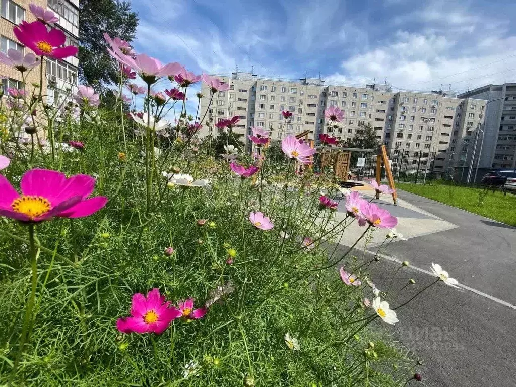 2-к кв. Тюменская область, Тюмень ул. Свердлова, 22 (50.4 м) - Фото 1