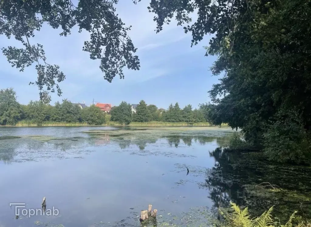 Участок в Калининградская область, Пионерский Заозерная ул. (11.0 ... - Фото 1