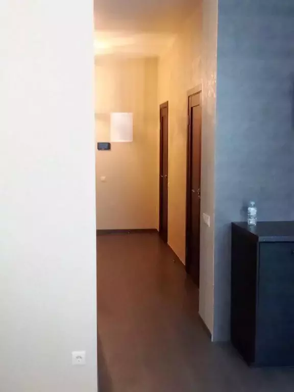 Продается 1-комнатная квартира - Фото 2