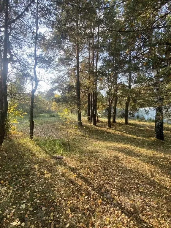 Участок в Свердловская область, Сысертский муниципальный округ, с. ... - Фото 2