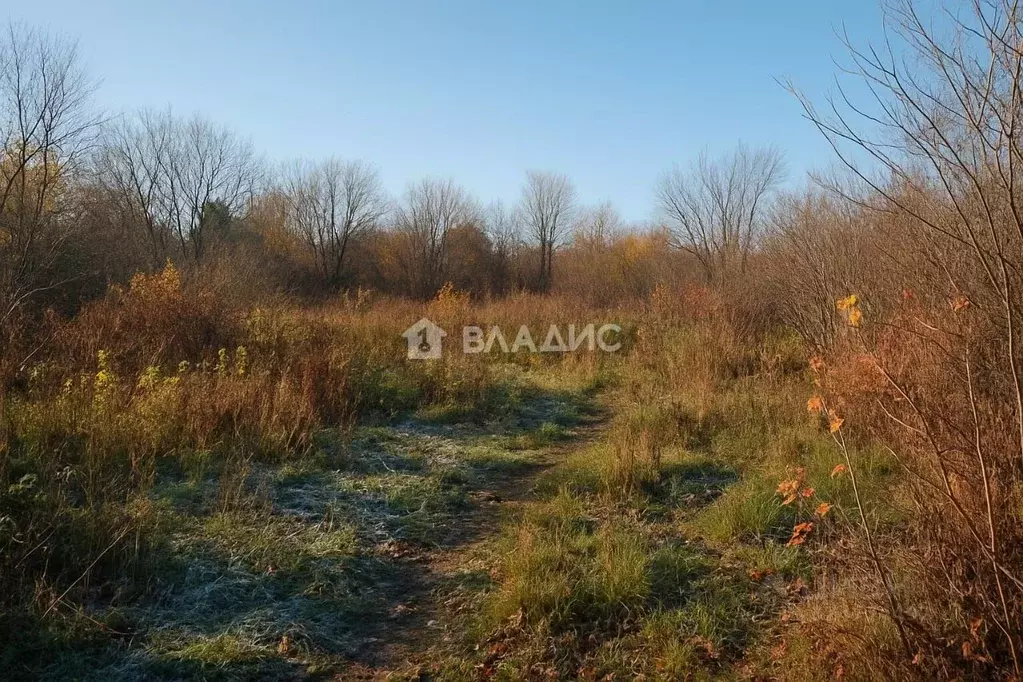 Участок в Башкортостан, Уфа Территория Демское лесничество,  (5.0 ... - Фото 0