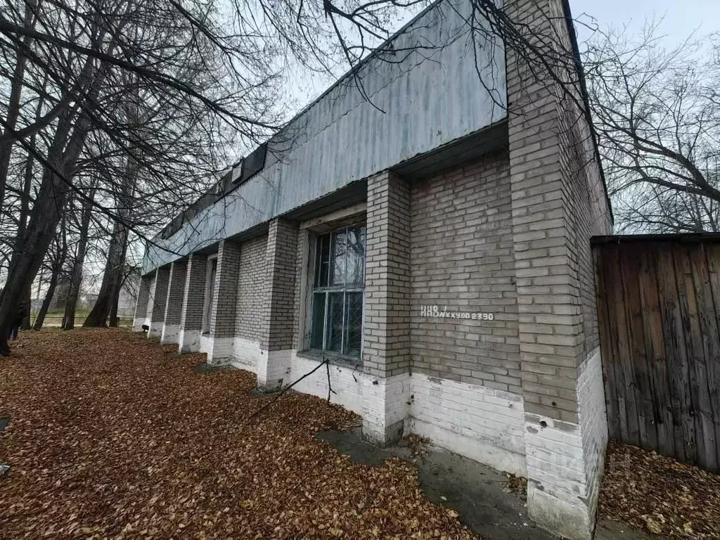 Производственное помещение в Новосибирская область, Тогучинский район, ... - Фото 2