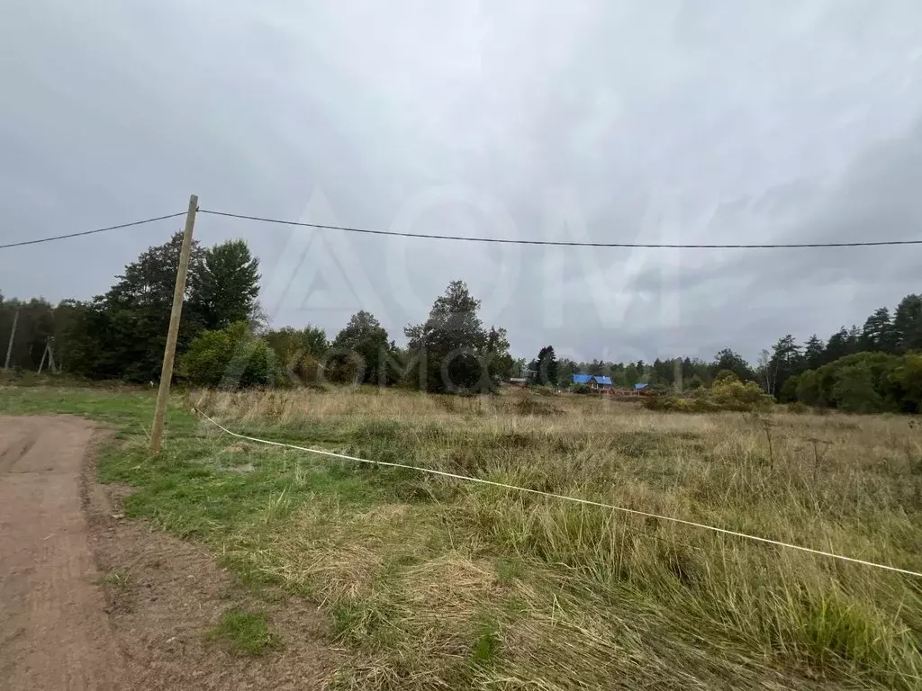 Участок в Ленинградская область, Приозерский район, Мельниковское ... - Фото 2