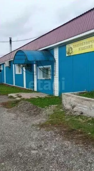 Помещение свободного назначения в Алтайский край, Красногорский район, ... - Фото 2