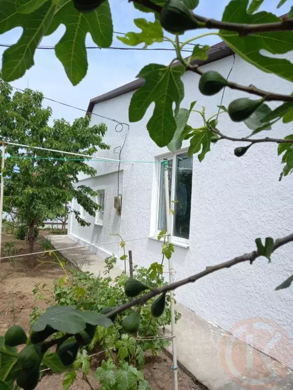 Дом в Крым, Евпатория городской округ, Заозерное пгт ул. Прибрежная, 2 ... - Фото 1