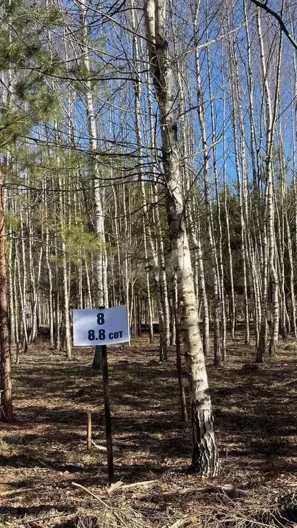 Участок 8,8 сот. (ИЖС) - Фото 0