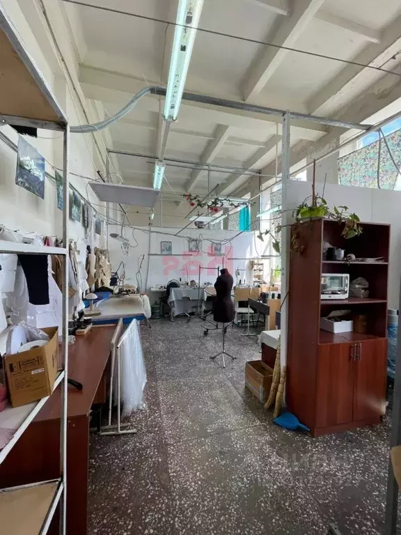 Помещение свободного назначения в Пензенская область, Пенза ул. ... - Фото 1