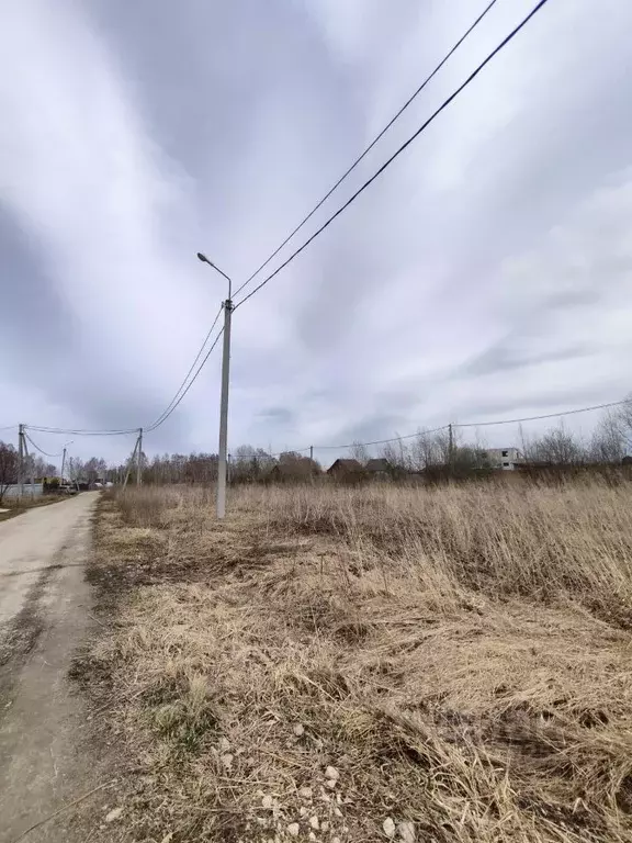 Участок в Новосибирская область, Новосибирский район, Кудряшовский ... - Фото 1