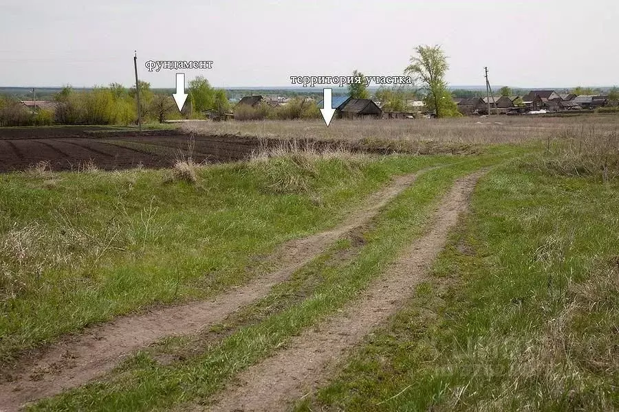 Участок в Пензенская область, с. Бессоновка ул. Большой Колояр, 196 ... - Фото 1
