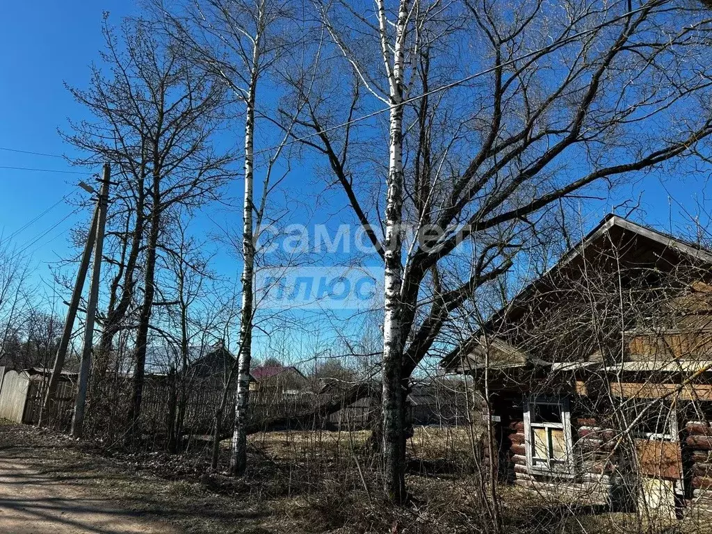 Участок в Вологодская область, Череповецкий район, с. Нелазское ... - Фото 1