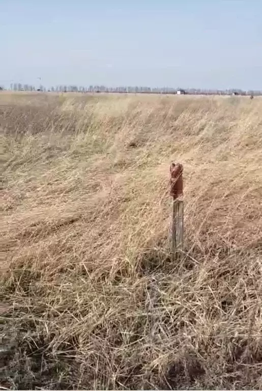 Участок в Тамбовская область, Тамбов ул. Челнавская (7.18 сот.) - Фото 1