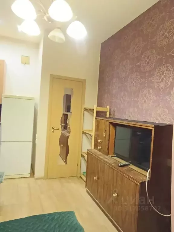 Студия Санкт-Петербург ул. Рубинштейна, 29/28 (25.0 м) - Фото 1