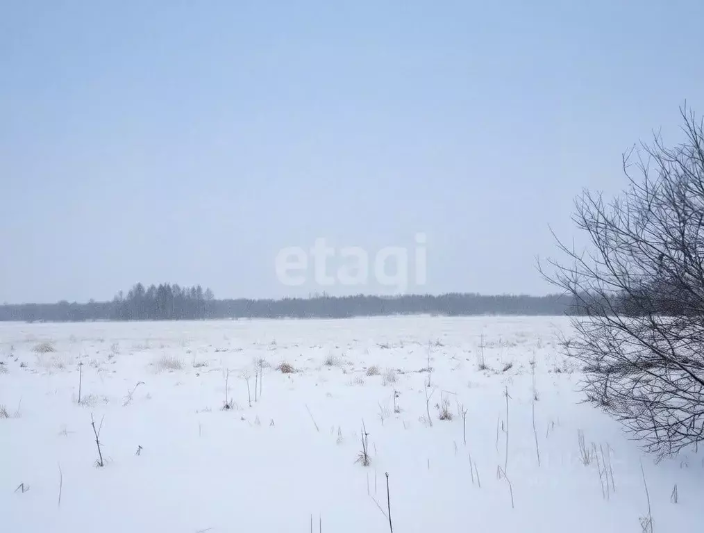 Участок в Ленинградская область, Волховский район, Деревня Вындин ... - Фото 1
