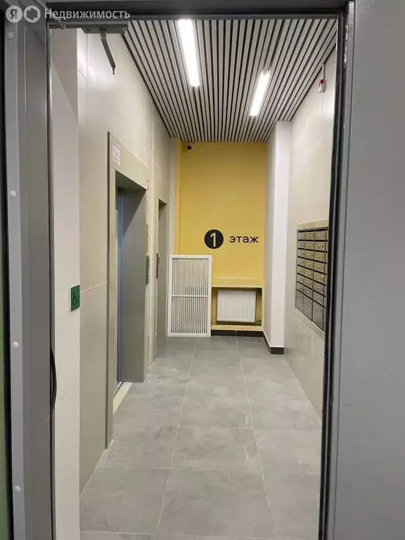 Квартира-студия: посёлок Шушары, Старорусский проспект, 3к1 (19 м) - Фото 2