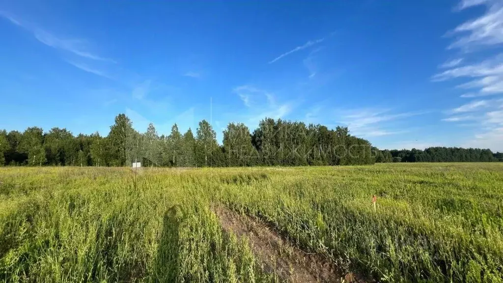 Участок в Тюменская область, Тюменский район, с. Кулаково  (7.0 сот.) - Фото 1