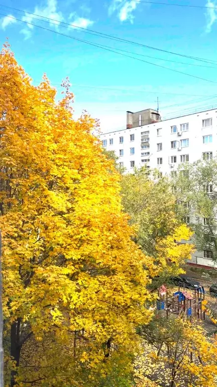 2-к кв. Московская область, Люберцы ул. Побратимов, 27 (55.0 м) - Фото 2