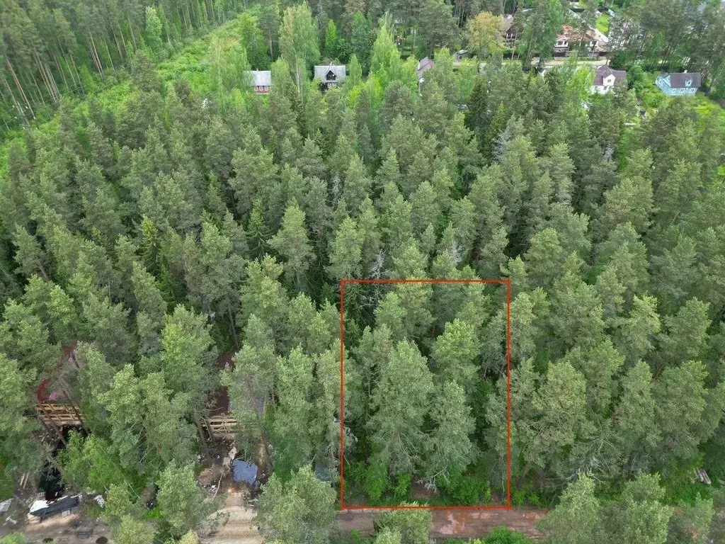 Участок в Ленинградская область, Гатчинский район, Вырица городской ... - Фото 1