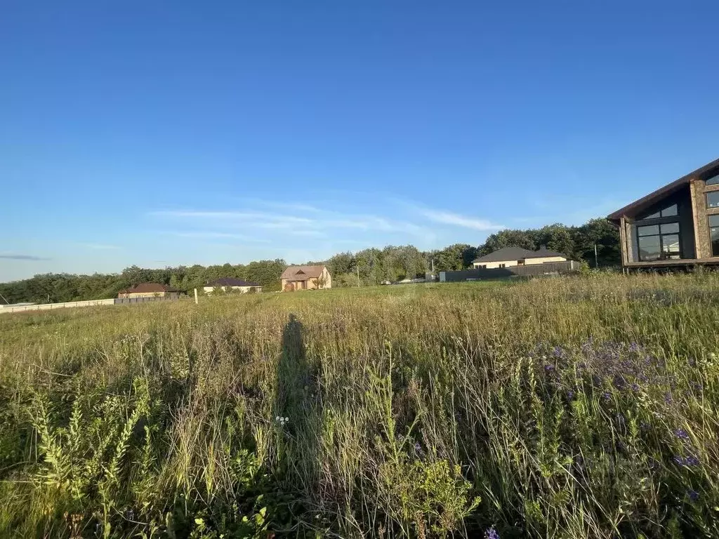 Участок в Белгородская область, Белгородский район, с. Стрелецкое 2 ... - Фото 1