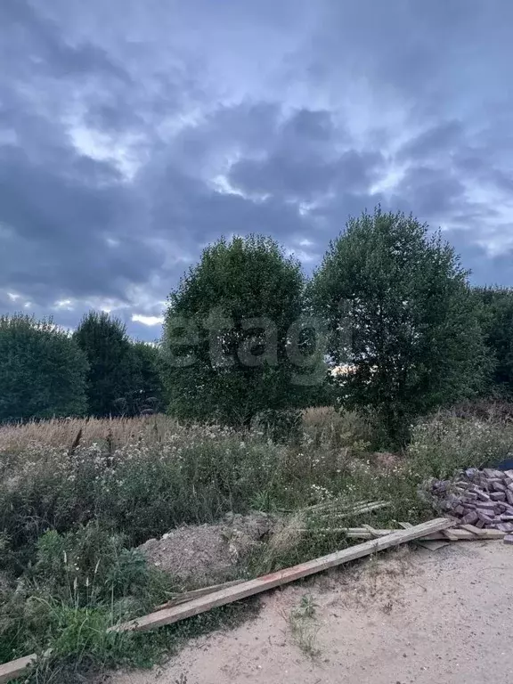 Участок в Московская область, Щелково городской округ, ВамДом ... - Фото 2