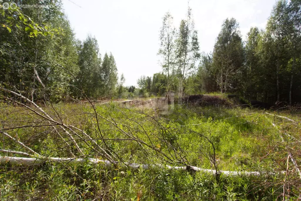 Участок в Тобольск, микрорайон Защитино (10 м) - Фото 1