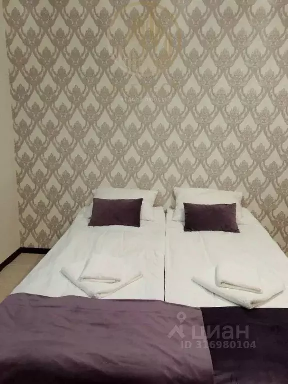 1-к кв. Ставропольский край, Ессентуки Пятигорская ул., 156 (20.8 м) - Фото 2