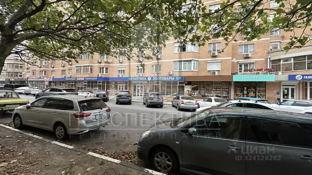 Помещение свободного назначения в Краснодарский край, Новороссийск ул. ... - Фото 2